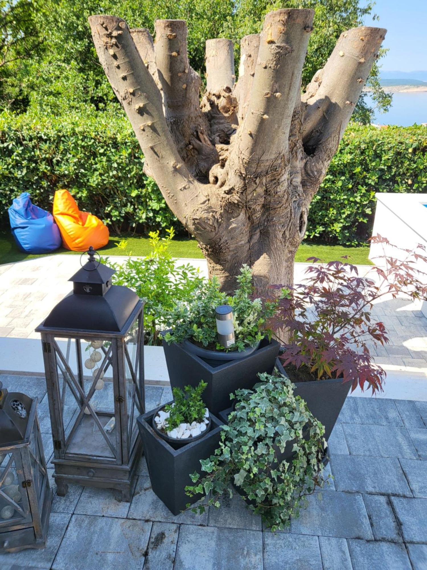 Apartmani Andiks Dramalj Dış mekan fotoğraf